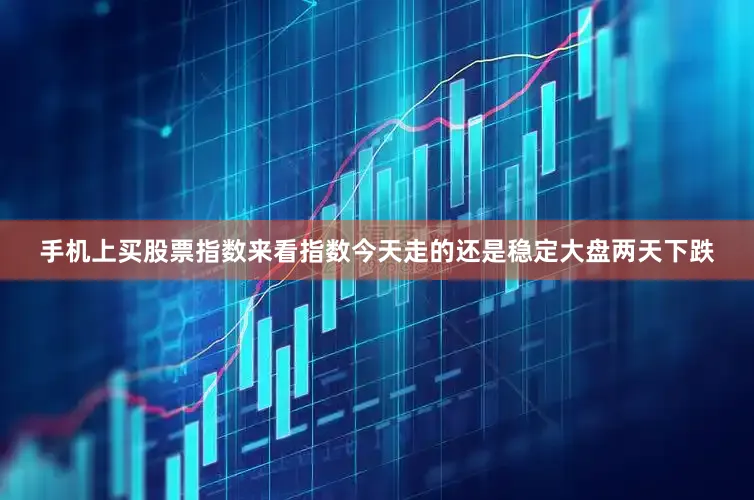 手机上买股票指数来看指数今天走的还是稳定大盘两天下跌