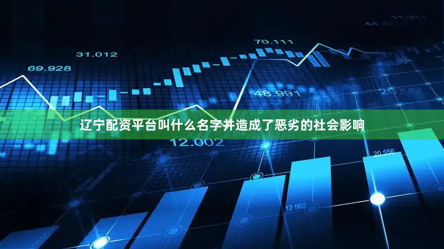辽宁配资平台叫什么名字并造成了恶劣的社会影响